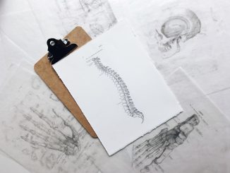 hur man förebygger ryggbesvär med kiropraktik illustration
