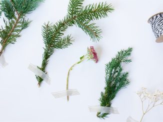 Moderna kiropraktiska metoder för smärtlindring illustration